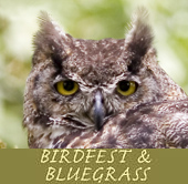 Birdfest and Bluegrass Ridgefield NWR