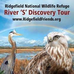 Friends of Ridgefield National Wildlife Refuge